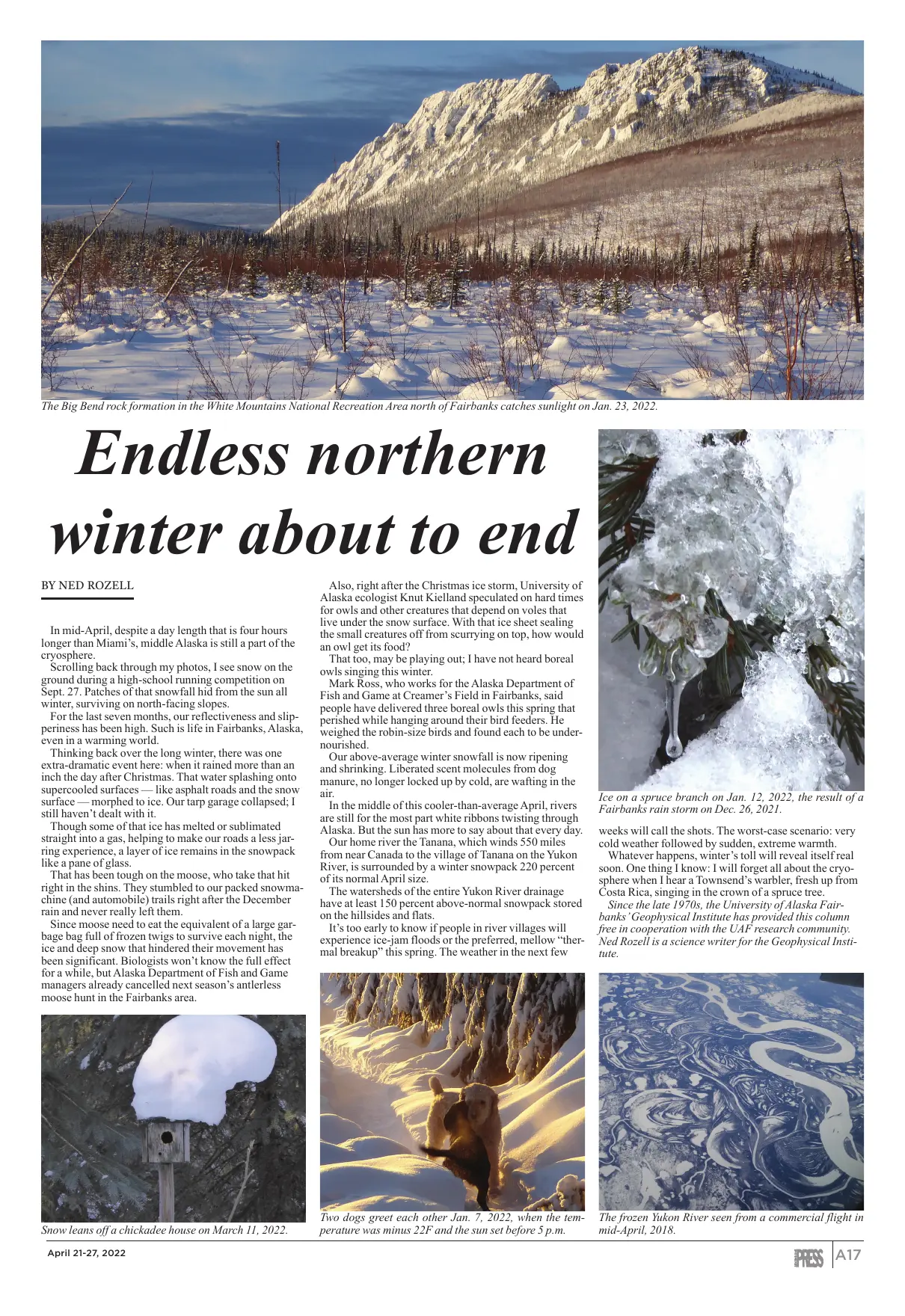 Page 17