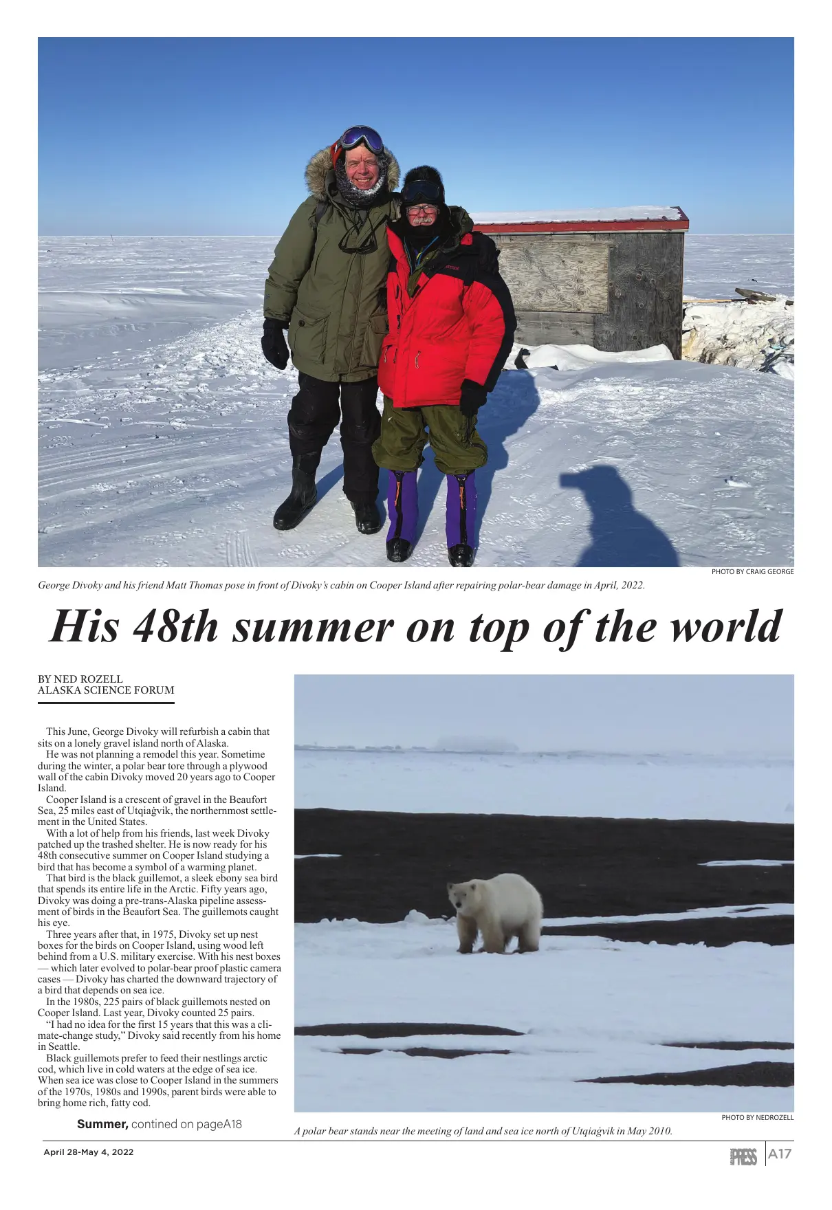 Page 17