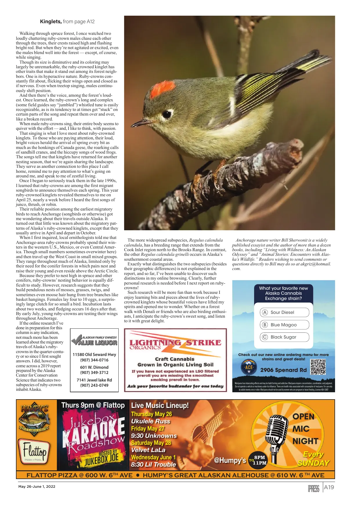 Page 19