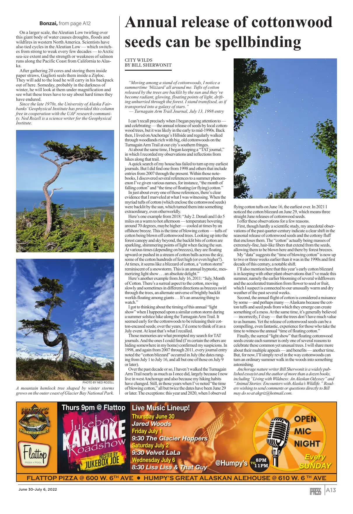 Page 13