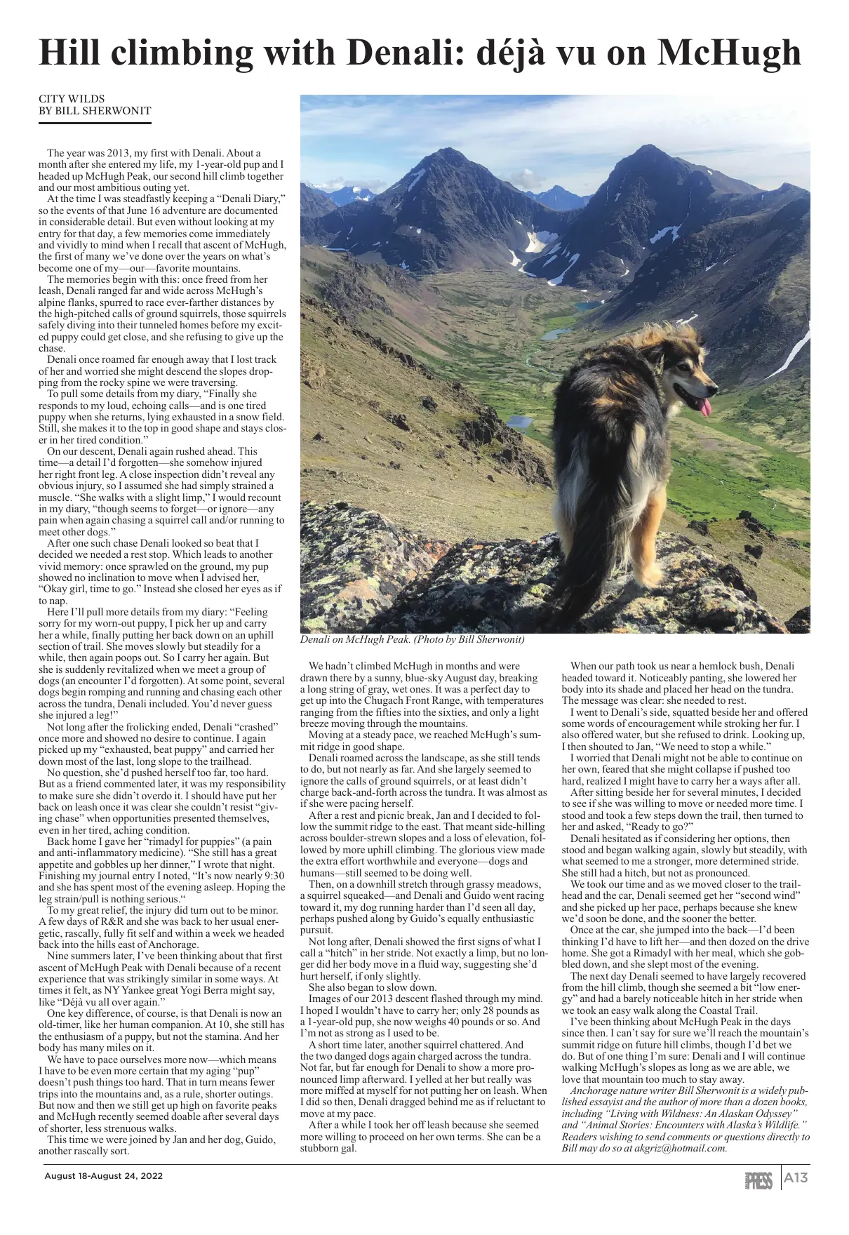 Page 13