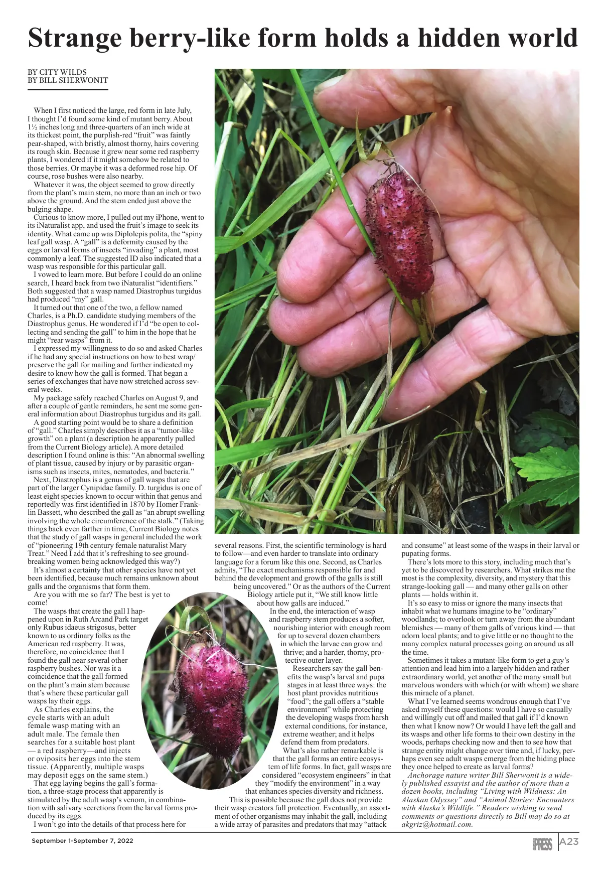 Page 23