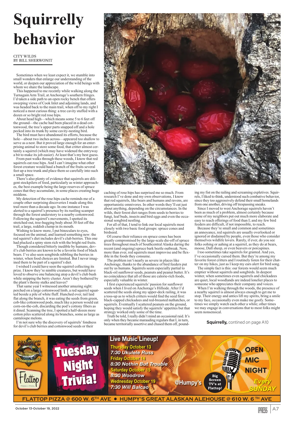 Page 7