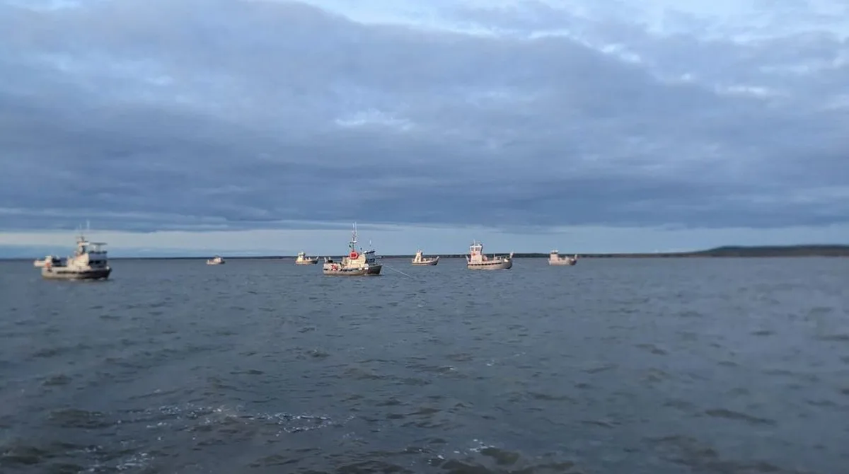 Alaska salmon fishermen fume over low prices, but processors say they're hurting too