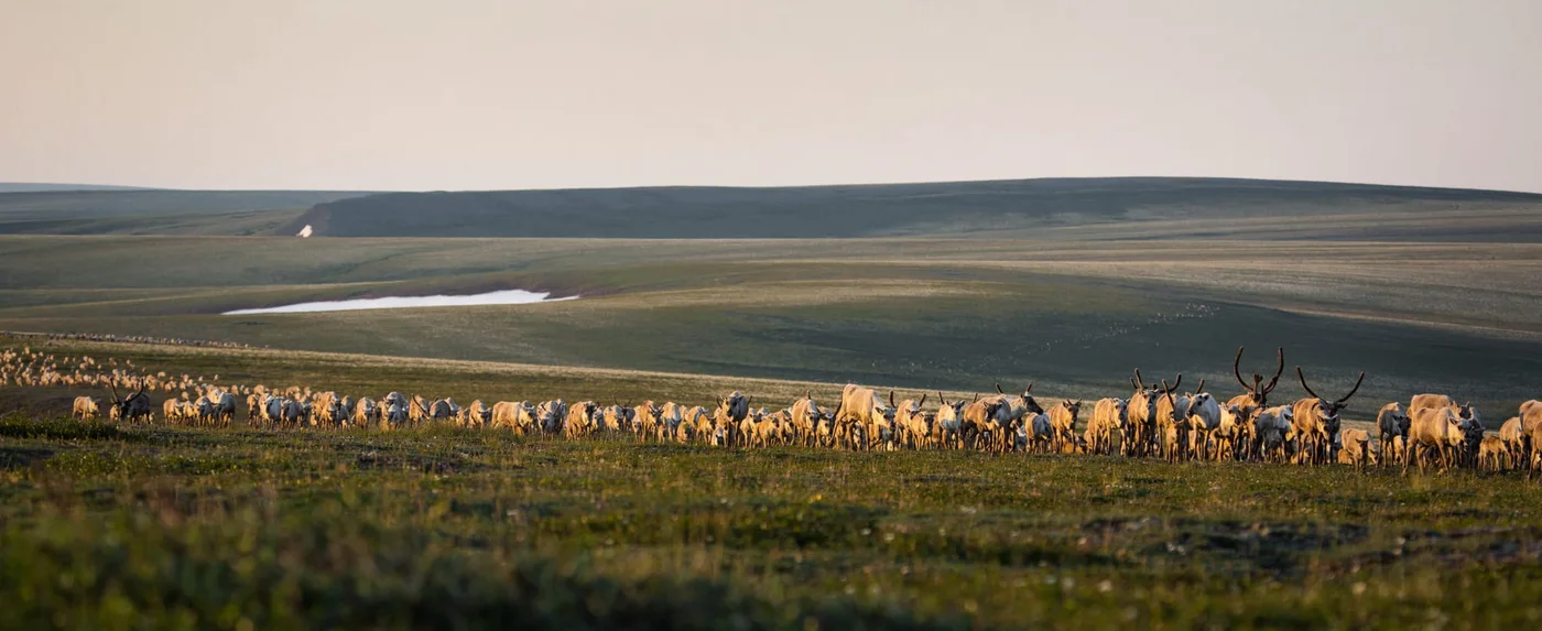 ExxonMobil won big at an Alaska oil lease sale. Months later, its bids are still in legal limbo.