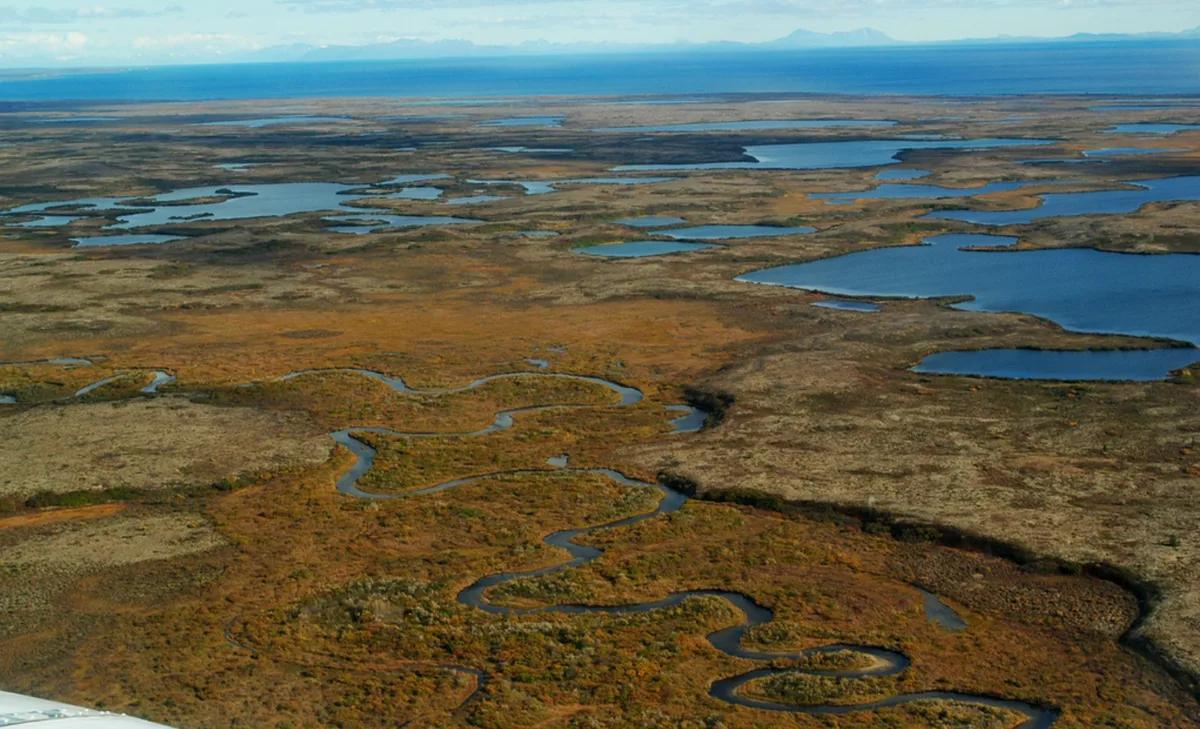 In court, Pebble developer says 27 salmon stand in the massive mine’s way