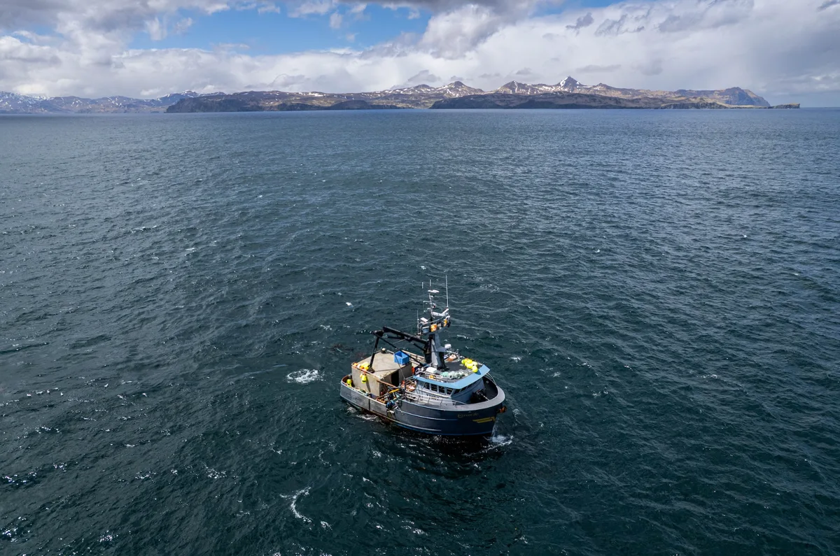 Shrinking prize: Amid halibut's decline, challenges mount for Alaska and Washington fishing crews