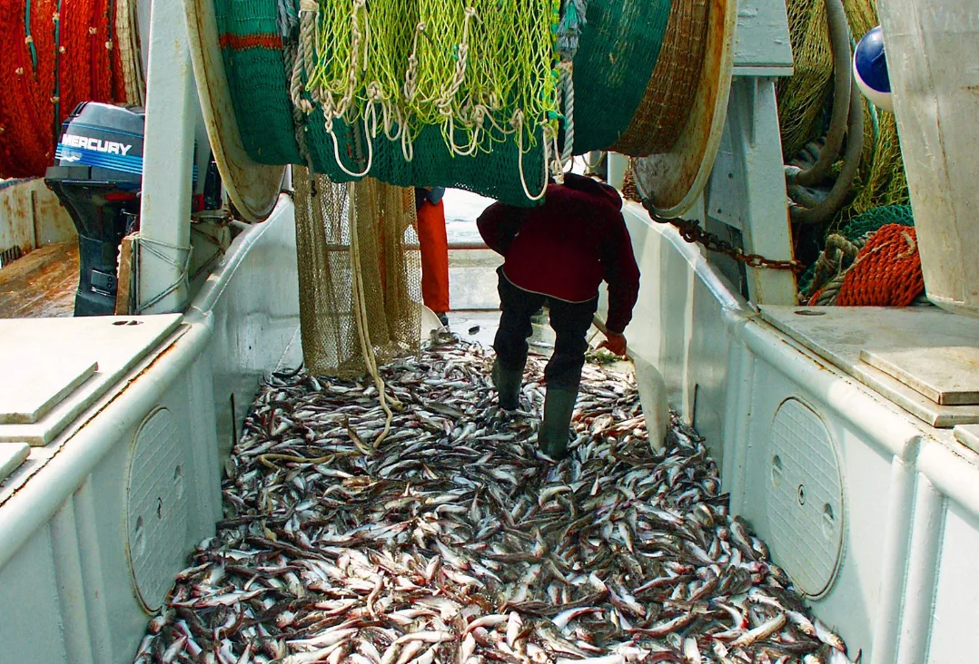 Trawl allies fire back as Alaska candidates' anti-industry rhetoric heats up