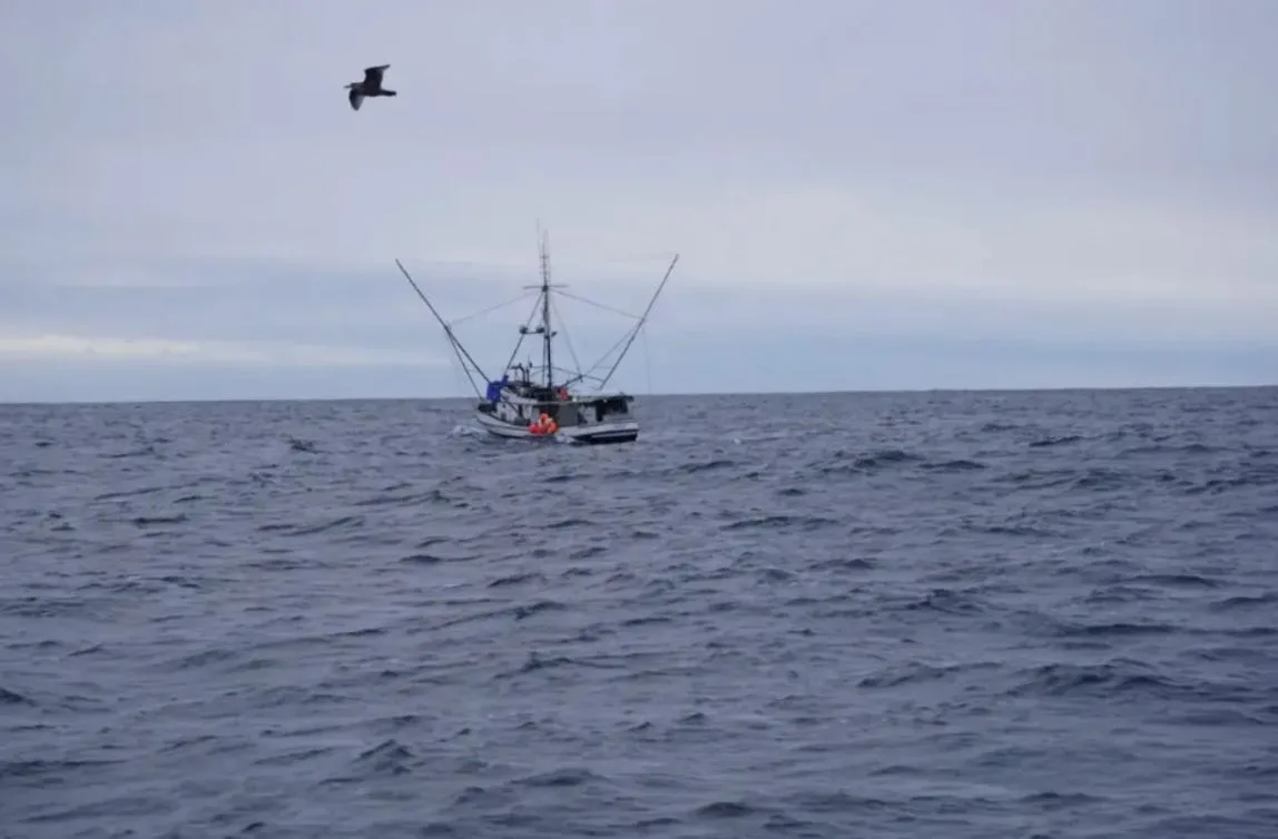 "We can go fishing": appeals court says Southeast Alaska troll fishery can open this summer
