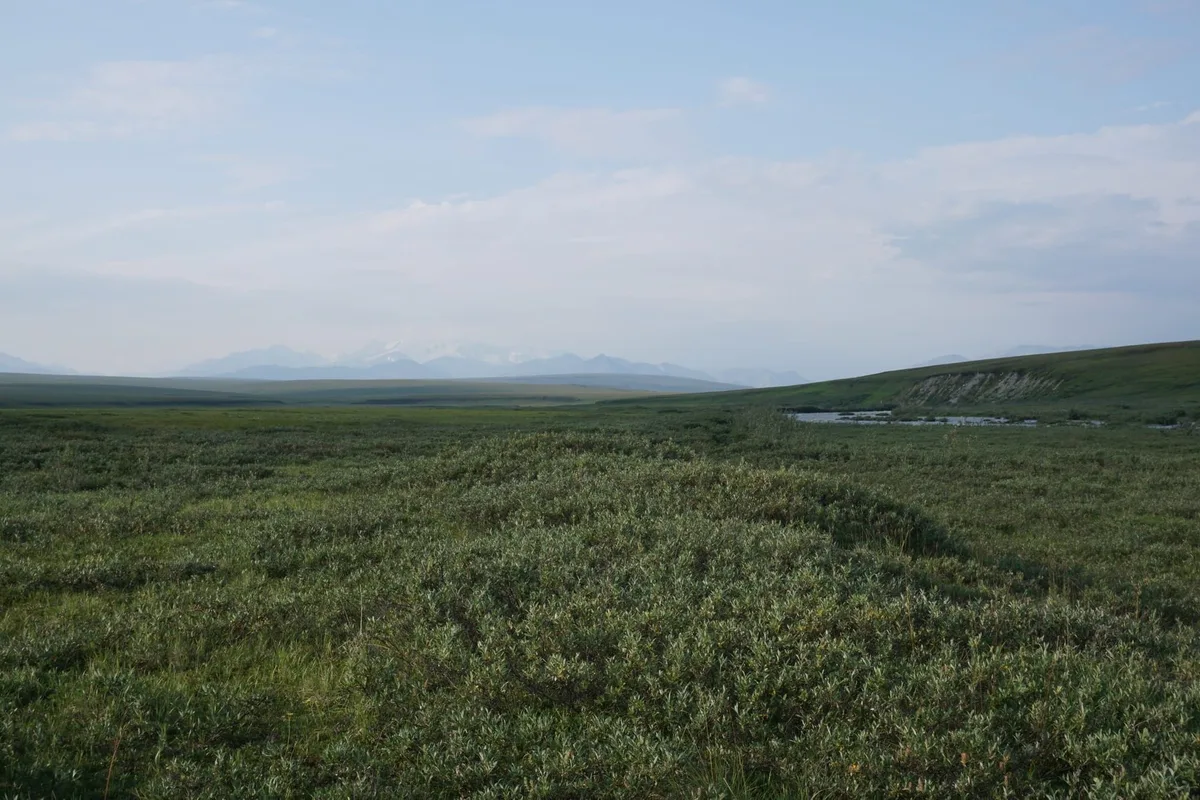 With industry wary of Arctic Refuge, Alaska's own government plans a lonely quest for oil